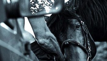 Comme chaque années le monde du nouveau cirque se donne rendez-vous à Nexon pour Multi-Pistes - Critique sortie Théâtre Nexon Le Sirque - Pôle national cirque