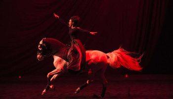 Au Festival de Châteauvallon, Bartabas, le Nederlands Dans Theater 2… dans un bel écrin - Critique sortie Danse Ollioules