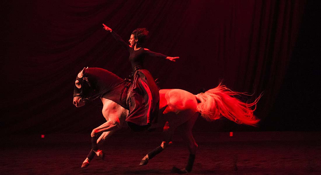 Au Festival de Châteauvallon, Bartabas, le Nederlands Dans Theater 2… dans un bel écrin - Critique sortie Danse Ollioules