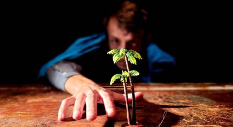 « Tempête dans un verre d’eau » de la compagnie Tac Tac, un conférencier embarque son public sur une île apocalyptique - Critique sortie Avignon / 2023 Avignon Avignon Off. Le Totem