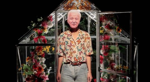 « Tomber dans les arbres », Camille Plocki explore son arbre généalogique et interroge sa parentèle - Critique sortie Avignon / 2023 Avignon Avignon Off. La Factory