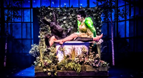 « Le Songe d’une nuit d’été » de Jean-Michel d’Hoop, une version queer, comique, marionnettique et jouissive - Critique sortie Avignon / 2023 Avignon Le 11 · Avignon