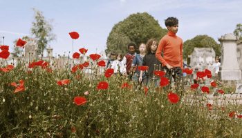 « Oiseau » d’Anna Nozière - Critique sortie Théâtre Toulouse ThéâtredelaCité – CDN de Toulouse Occitanie