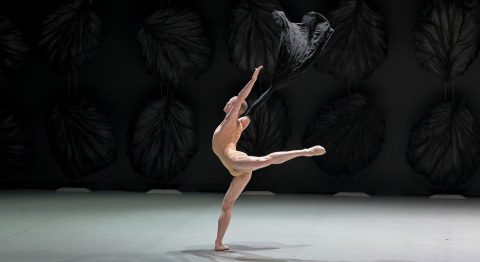 « Les Saisons » de Thierry Malandain : un élégant ballet graphique et musical - Critique sortie Danse Versailles Opéra royal de Versailles