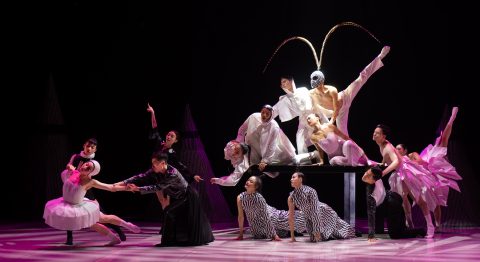 Tant qu’on danse 2024 : en Seine-et-Marne, la danse s’invite auprès du public et des danseurs - Critique sortie Danse Seine-et-Marne