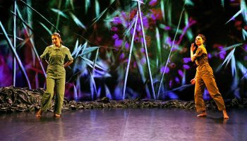 Joanne Leighton présente « Le chemin du wombat au nez poilu » - Critique sortie Danse Pantin Centre national de la danse