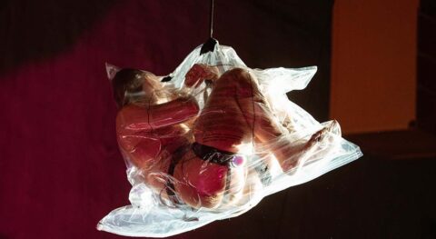 Circusnext 2024 : les lauréats ! - Critique sortie Théâtre Paris Théâtre de la Cité Internationale