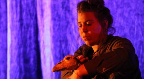 Festival RéciDives, entre théâtre visuel et marionnette - Critique sortie Théâtre Dives-sur-Mer Le Beffroi