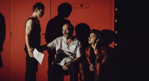 La Chambre rouge (fantaisie) : Michel Raskine s’enferme dans une chambre pour un bilan existentiel - Critique sortie Théâtre Lyon Célestins – Théâtre de Lyon