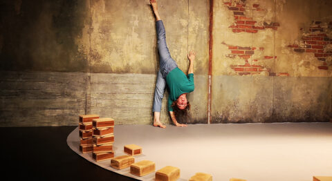 « Des nuits pour voir le jour » : un autoportrait brillant et étonnant signé Katell Le Brenn - Critique sortie Cirque France France