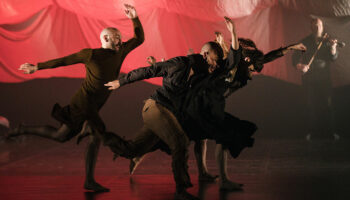 Du chaos à l’harmonie, rencontre avec Sylvain Groud - Critique sortie  Roubaix Le Colisée