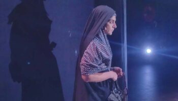 Les Théâtrales Charles-Dullin fêtent leur dixième édition - Critique sortie Théâtre Val-de-Marne Les Théâtrales Charles Dullin