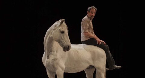 Festival Les Singulier.es 2025 présente un large éventail de brassages scéniques pluridisciplinaires - Critique sortie Théâtre Paris Le CENTQUATRE-PARIS