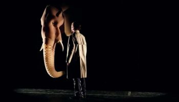 Festival Marionnetik(s), un nouveau rendez-vous autour de la marionnette - Critique sortie Marionnette Noisy-le-Grand Espace Michel-Simon