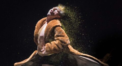 L’Essonne Danse, édition 2025 met en lumière une grande diversité de projets chorégraphiques - Critique sortie Danse