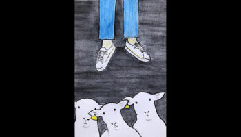 « Foutue Bergerie » de Pierre Guillois - Critique sortie 