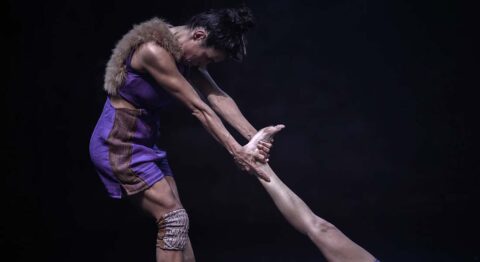 Silvia Pezzarossi chorégraphie la métamorphose dans « Habemus Naufragium ». - Critique sortie Avignon / 2025 Avignon Avignon Off. Les Hivernales