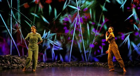 « Le Chemin du wombat au nez poilu » : conte dansé pour une planète blessée - Critique sortie Avignon / 2025 Avignon Avignon Off. La Scierie