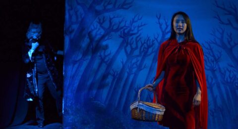 Julien Gelas présente sa version du « Petit Chaperon rouge », où toutes les issues sont encore possibles. - Critique sortie Avignon / 2025 Avignon Avignon Off. Théâtre du Chêne Noir