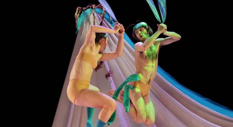 « Mamuka » de Pantxika Telleria fait danser la nature et les insectes pour éveiller les tout-petits. - Critique sortie Avignon / 2025 Avignon Avignon Off. Théâtre Golovine