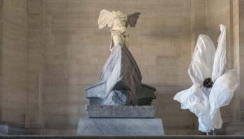 « Danses non humaines » de Jérôme Bel et Estelle Zhong Mengual - Critique sortie Danse Bobigny MC93 - Maison de la Culture de Saine-Saint-Denis