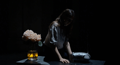 Louise Chevillotte déploie une partition minimaliste au-delà des apparences dans « Quand je ne dis rien je pense encore » - Critique sortie Théâtre 75020 Paris Les Plateaux Sauvages