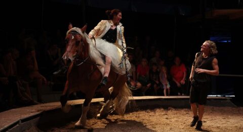 « Zusammen », mise en piste Emilie Capliez - Critique sortie Cirque Colmar