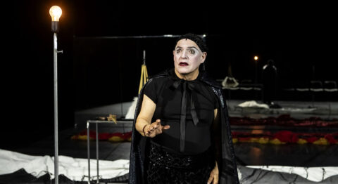 « Il s’en va – Portrait de Raoul (suite) »,  le sourire unique de Raoul Fernandez dans la mise en scène de Marcial Di Fonzo Bo - Critique sortie Théâtre Paris Les Plateaux Sauvages