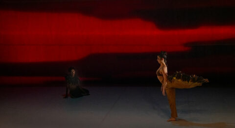« Les Oiseaux » de Lenio Kaklea - Critique sortie Danse Paris Chaillot Théâtre national de la Danse / CND