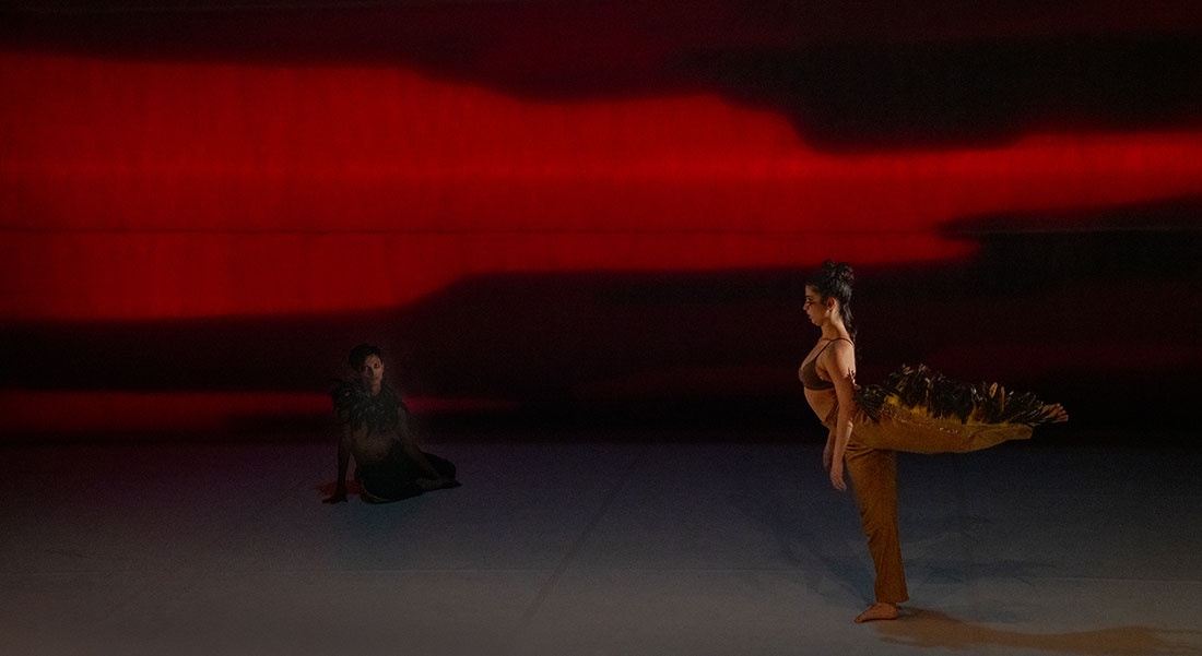 « Les Oiseaux » de Lenio Kaklea - Critique sortie Danse Paris Chaillot Théâtre national de la Danse / CND