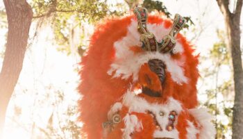 Smaïl Kanouté, rencontre avec un Black Indian - Critique sortie 