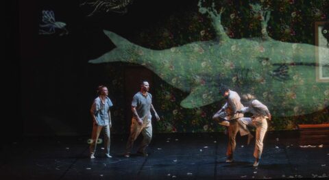 « Le murmure des songes » de Kader Attou - Critique sortie Danse Malakoff Malakoff Scène nationale - Théâtre 71