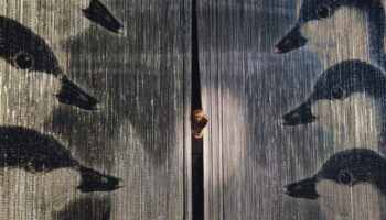 Chaillot Expérience Kids, un cadeau géant pour tous les enfants et leurs familles - Critique sortie Danse Paris Chaillot - Théâtre national de la danse