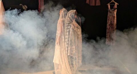 « La Mouette express » : La compagnie IVA revisite La Mouette. - Critique sortie Avignon / 2026 Avignon Avignon Off. Théâtre Au Chapeau Rouge
