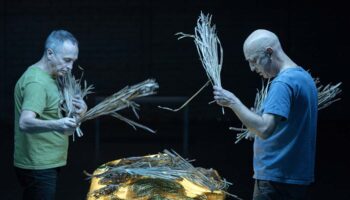 « Excentriques » édition 2026, neuf projets, dont des créations, un ciné-danse, des rencontres, dans un irrésistible élan vital - Critique sortie Danse Ivry-sur-Seine La Briqueterie - CDCN du Val-de-Marne